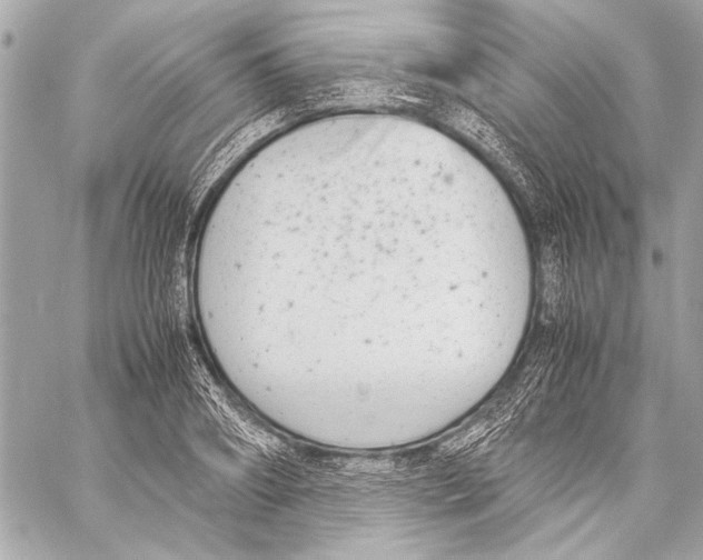 X0000057060890200510071404