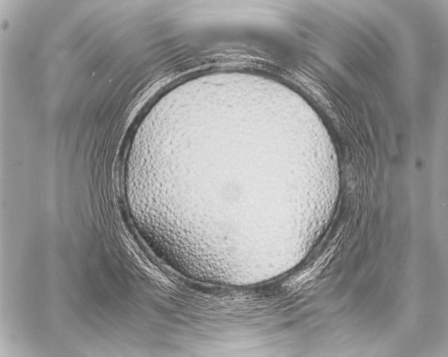 X0000057060891200510071404