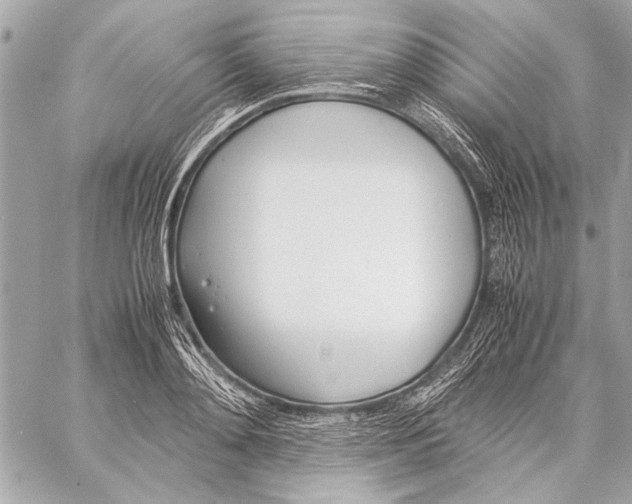 X0000057060892200510071403