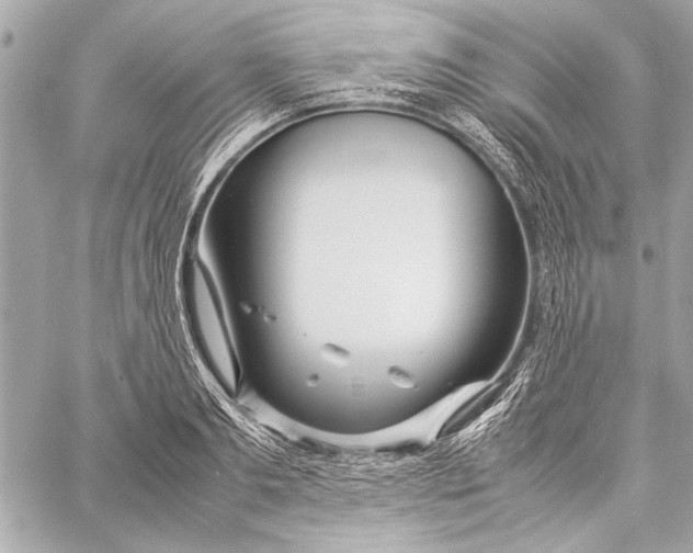 X0000057060893200510071403