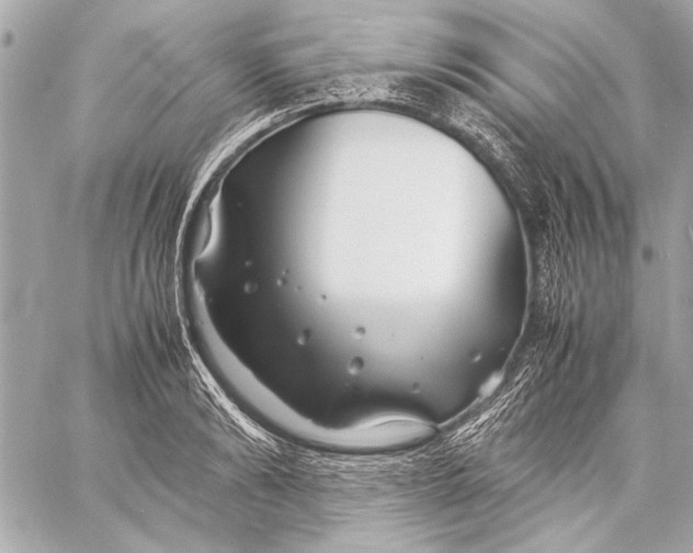 X0000057060894200510071403