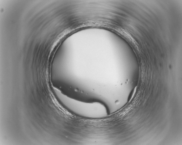 X0000057060896200510071403