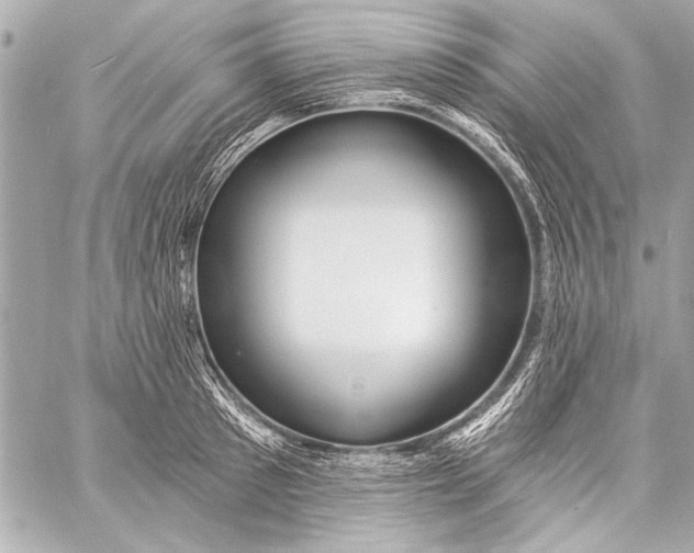 X0000057060897200510071403