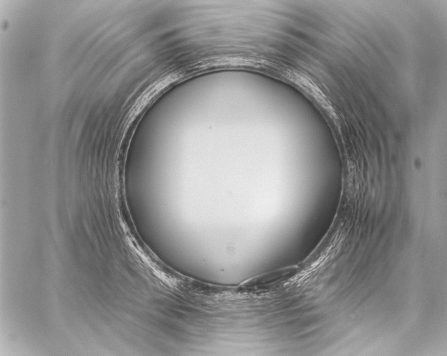 X0000057060898200510071403