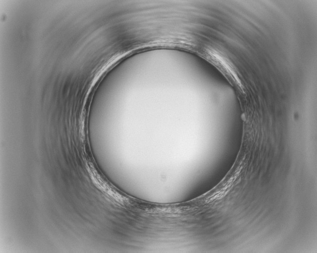 X0000057060900200510071403