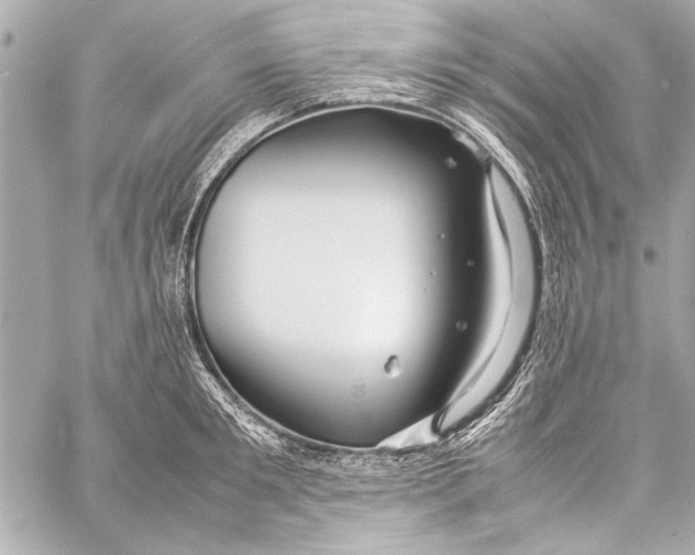 X0000057060901200510071403