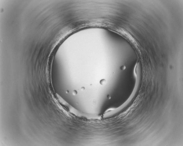 X0000057060902200510071403