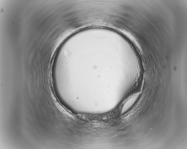 X0000057060903200510071403