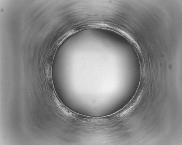 X0000057060905200510071403