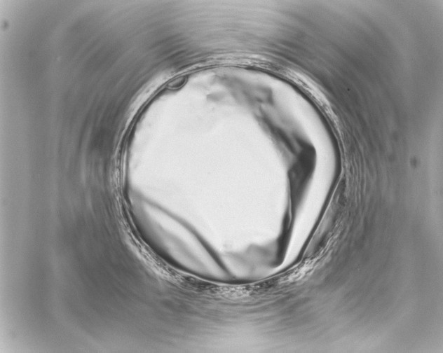 X0000057060907200510071403