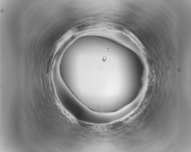 X0000057060909200510071403