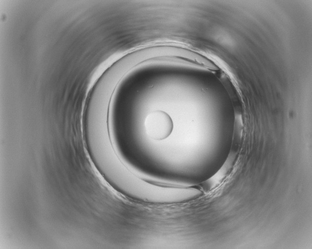 X0000057060910200510071403