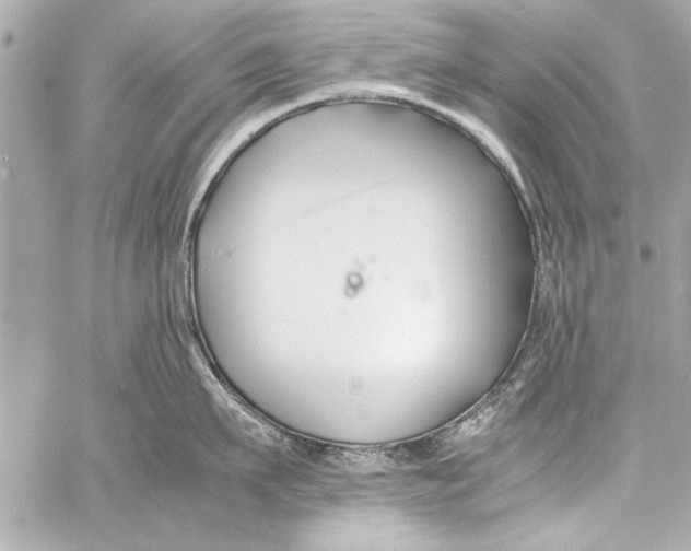 X0000057060911200510071403