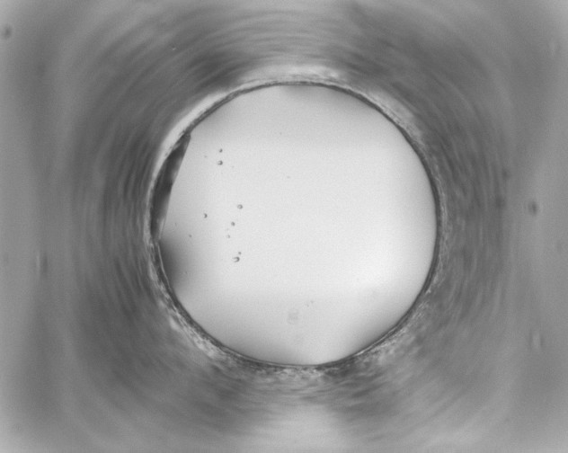 X0000057060912200510071403