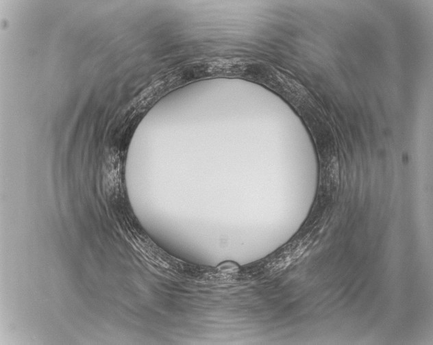 X0000057060914200510071402