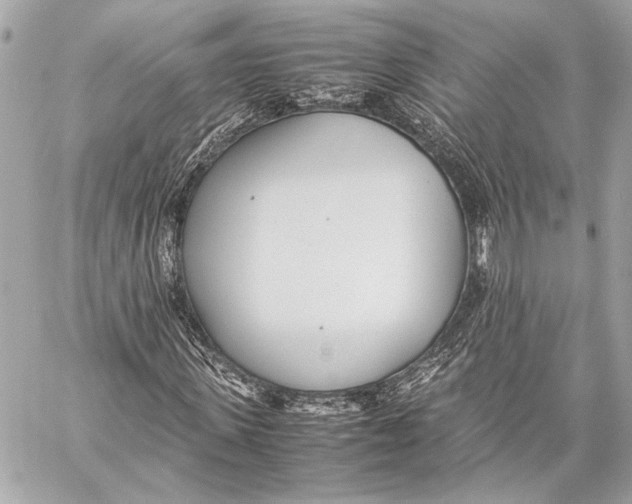 X0000057060915200510071402