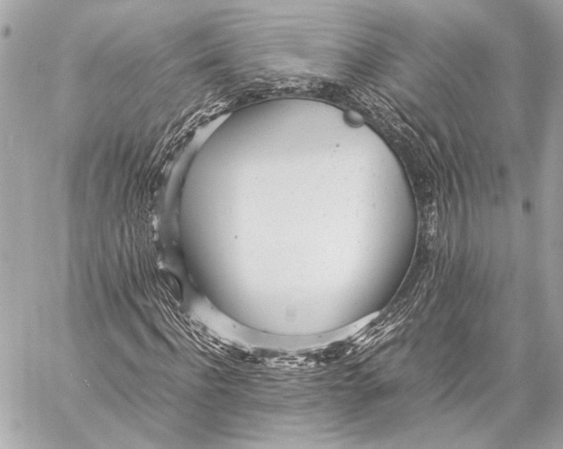 X0000057060916200510071402