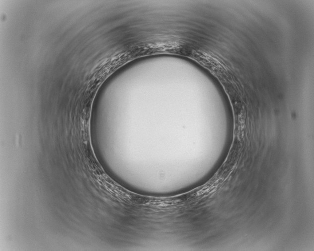 X0000057060917200510071402