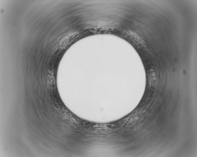 X0000057060918200510071402