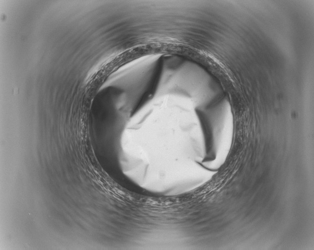 X0000057060919200510071402