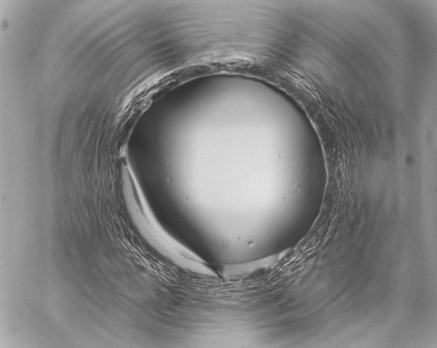 X0000057060920200510071402