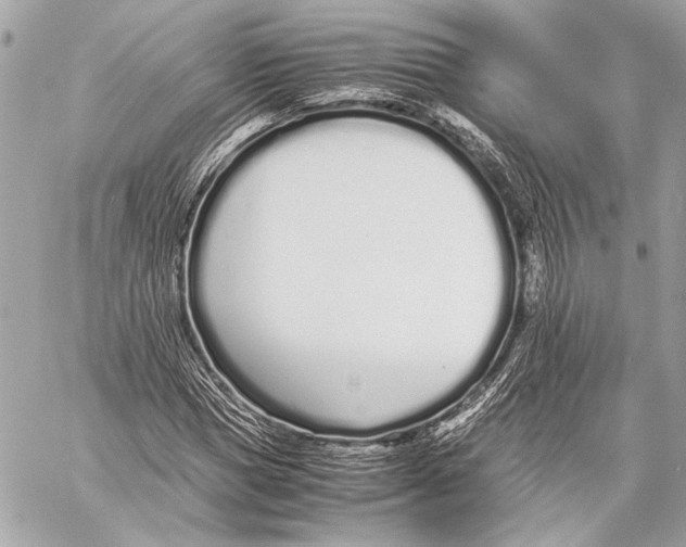 X0000057060921200510071402