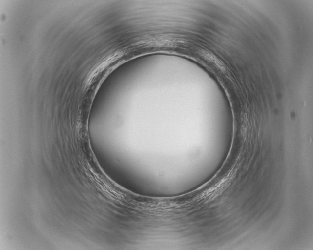 X0000057060922200510071403