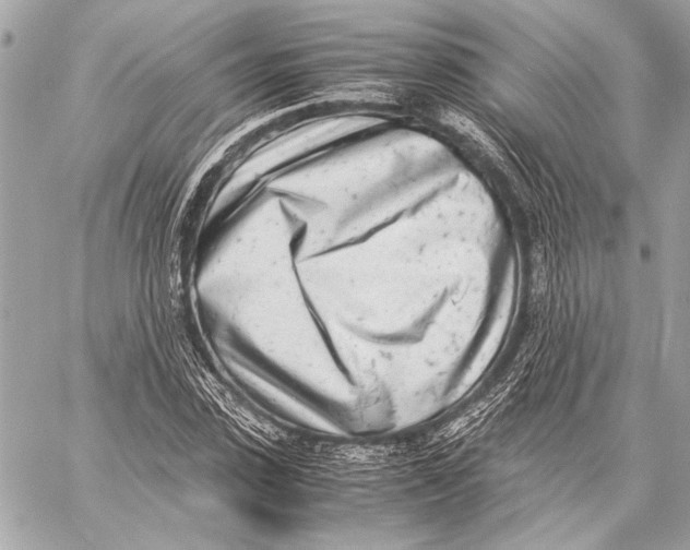 X0000057060923200510071403