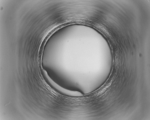 X0000057060924200510071403