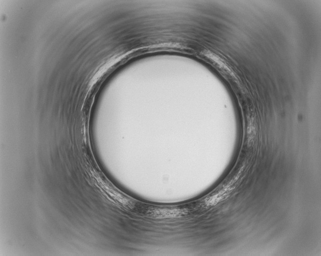 X0000057060925200510071403