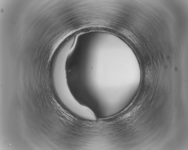 X0000057060926200510071403