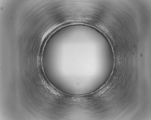 X0000057060928200510071403