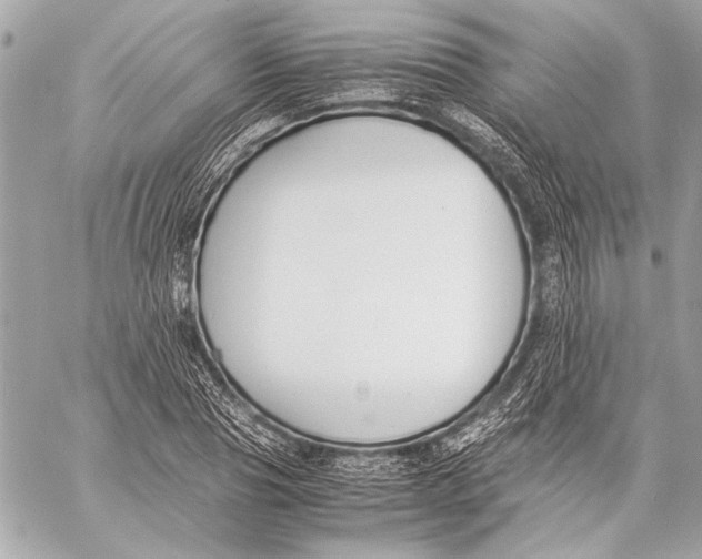 X0000057060929200510071403