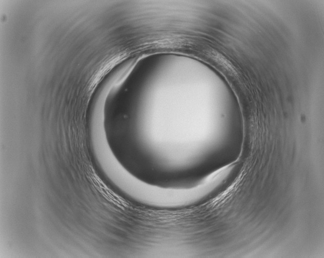 X0000057060930200510071403