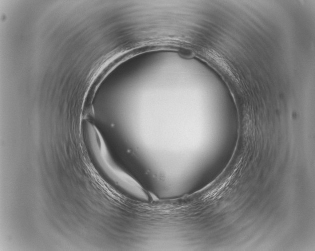 X0000057060932200510071403