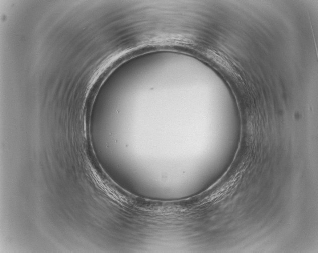 X0000057060934200510071403