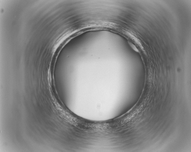 X0000057060936200510071403