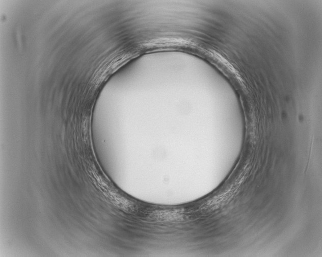 X0000057060937200510071403