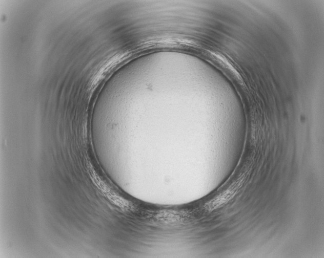 X0000057060938200510071403