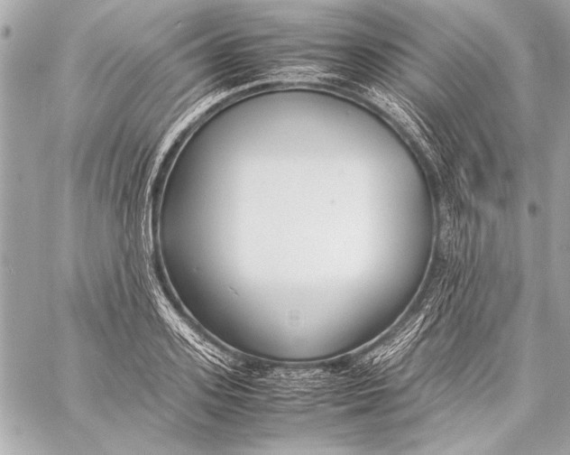 X0000057060939200510071403