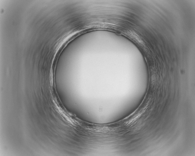 X0000057060940200510071403