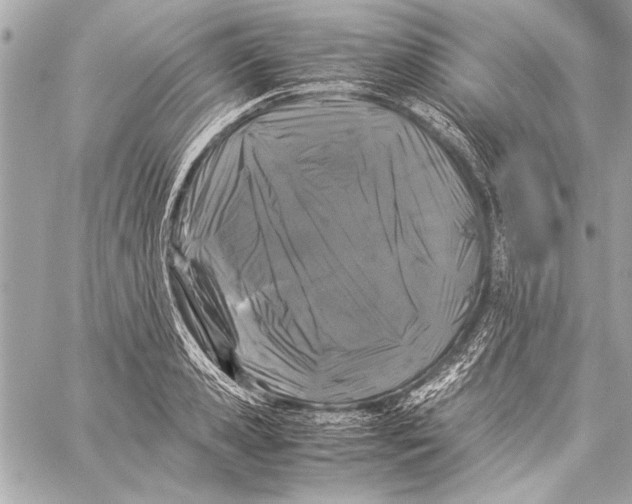 X0000057060941200510071403