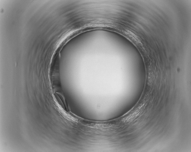 X0000057060942200510071403