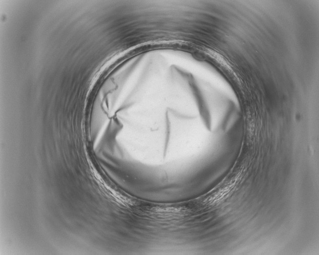 X0000057060943200510071403