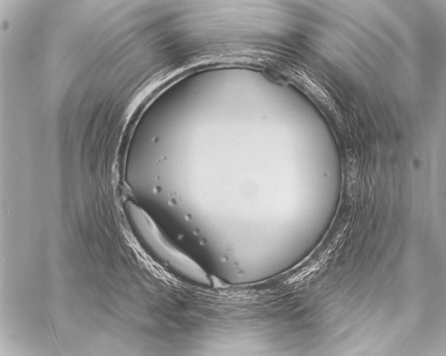 X0000057060944200510071403