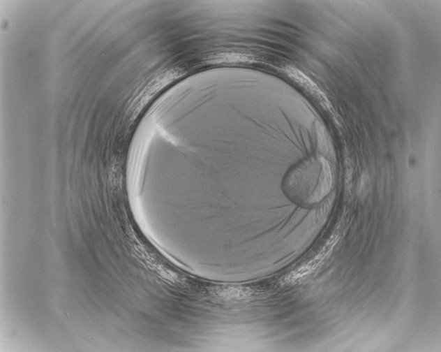 X0000057060945200510071403