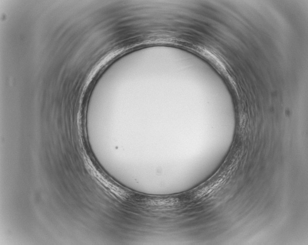 X0000057060947200510071403