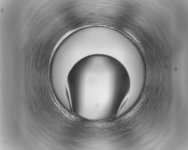 X0000057060948200510071403