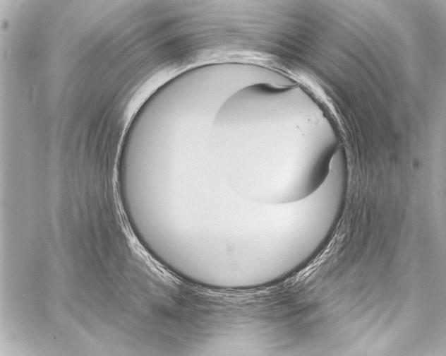 X0000057060952200510071403