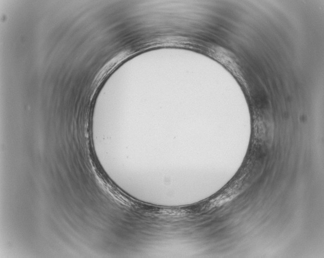 X0000057060954200510071403